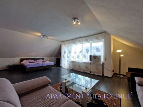 Wohnzimmer / Schlafzimmer 2